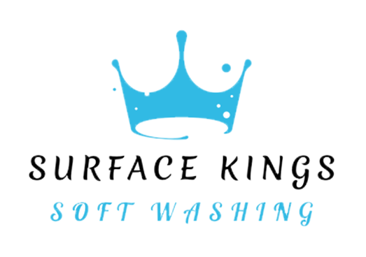 Surface Kings Logo