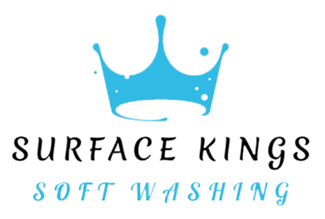 Surface Kings Logo